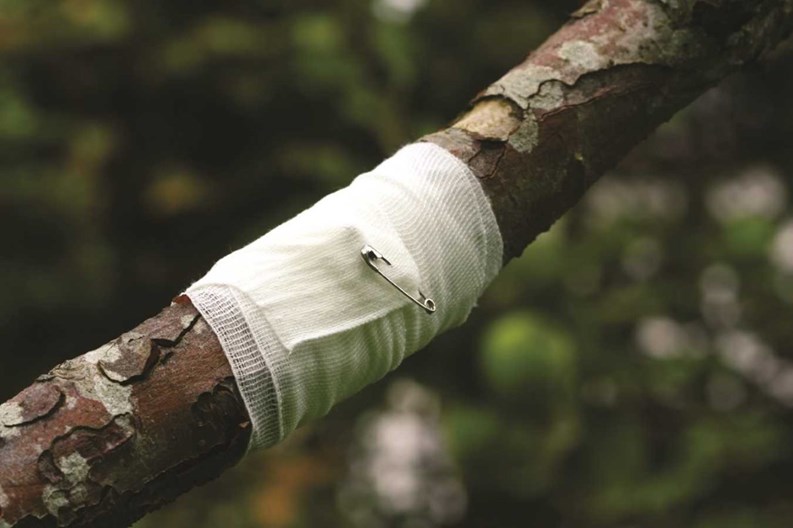 Treating Trees